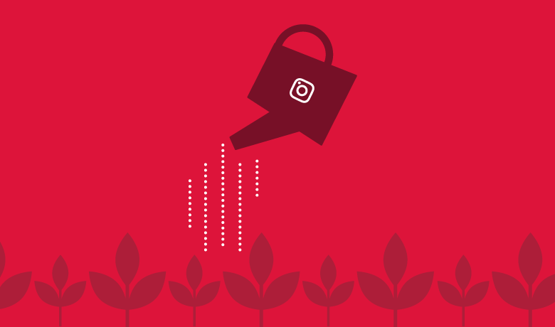 Ganhar Seguidores no Instagram